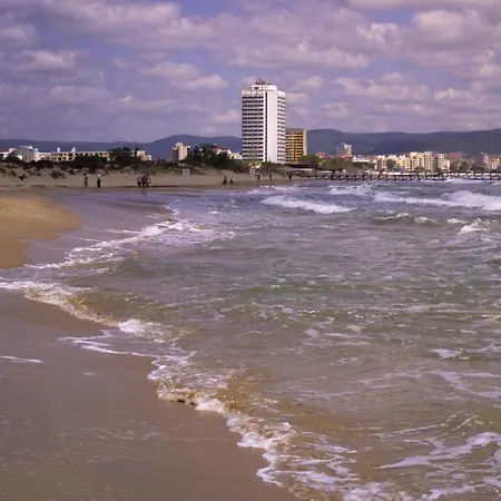 Single In Searegal Compex