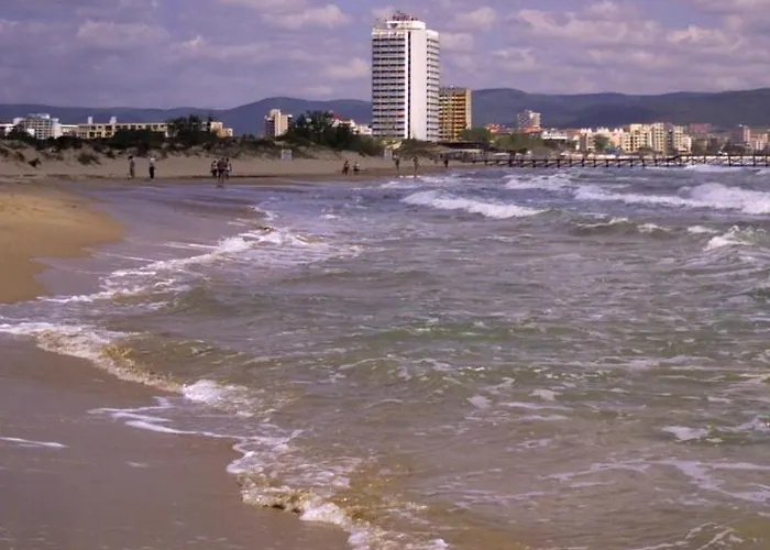 Single In Searegal Compex